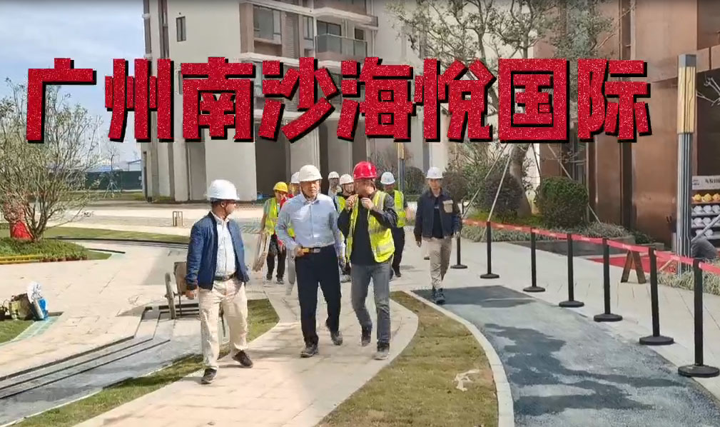 广州南沙海悦国际楼盘项目